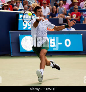 Mason, Ohio, USA. August 19, 2018: Novak Djokovic (SRB) hits the ball back to Roger Federer (SUI) at the Western Southern Open in Mason, Ohio, USA. Brent Clark/Alamy Live News Stock Photo
