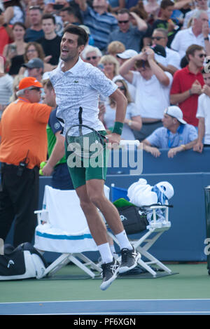 Cincinnati, OH, USA. 19th Aug, 2018. Western and Southern Open Tennis, Cincinnati, OH - August 19, 2018 - Novak Djokovic celebrates after beating Roger Federer in the finals of the Western and Southern Tennis tournament held in Cincinnati. Djokovic won 6-3 6-3. - Photo by Wally Nell/ZUMA Press Credit: Wally Nell/ZUMA Wire/Alamy Live News Stock Photo