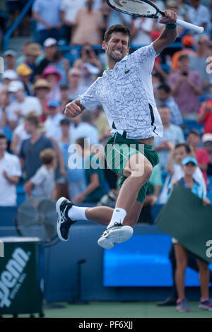 Cincinnati, OH, USA. 19th Aug, 2018. Western and Southern Open Tennis, Cincinnati, OH - August 19, 2018 - Novak Djokovic celebrates after beating Roger Federer in the finals of the Western and Southern Tennis tournament held in Cincinnati. Djokovic won 6-3 6-3. - Photo by Wally Nell/ZUMA Press Credit: Wally Nell/ZUMA Wire/Alamy Live News Stock Photo