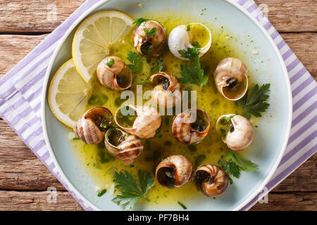 Spicy French snails, escargot cooked with butter, parsley, lemon and garlic close-up on a plate on a table. horizontal top view from above Stock Photo