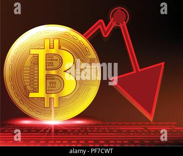 Golden bitcoin crash graph in cycles panic sell red zone  indicator concept. Vector illustration eps10 Stock Vector