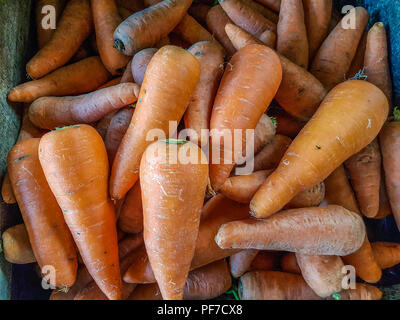 Bunches of colorful fresh orange carrots from the market Stock Photo
