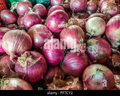 Background of many colorful fresh red onions from the market Stock Photo