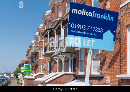 House To Let sign from Molica Franklin outside a house in South Terrace, Littlehampton, West Sussex, England, UK. House to rent. Stock Photo