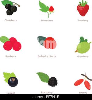Berry type icons set, isometric style Stock Vector