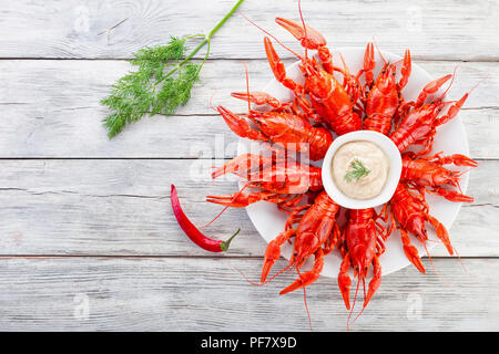 Boiled red crayfishes on a white dish Stock Photo