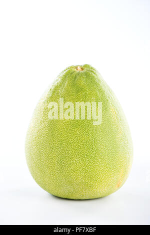 fresh and peeled pomelo(shaddock), grapefruit with slices isolated on white background Stock Photo