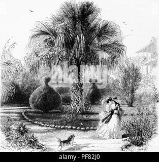 Black and white vintage print depicting a dog barking at two women 