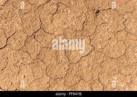 Dry cracks on a sandy-silty brown soil in North Germany Stock Photo