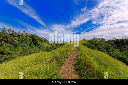 Campuhan (Sayan) Ridge Walk, Ubud, Bali Stock Photo