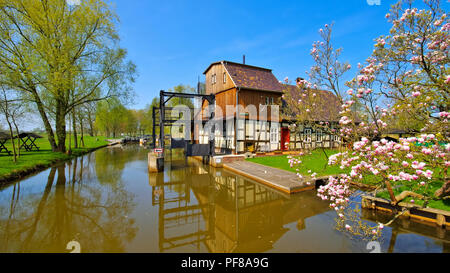 Raddusch Mill, Spree Forest in spring, Brandenburg Stock Photo