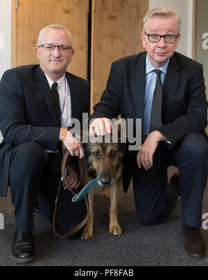 Environment Secretary Michael Gove (right) meets hero police dog Finn, who suffered severe injuries whilst on duty, and his handler PC Dave Wardell at his office in London after giving the Government's backing to a bill implementing a so-called 'Finn's Law' protecting police dogs and horses. Stock Photo