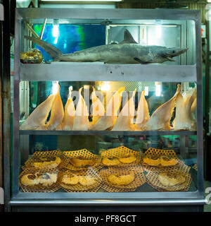 A dead juvenile mako shark & dried shark fins on display at a restaurant in Bangkok, Thailand. Stock Photo