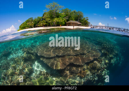 A split-level underwater photo of coral reef at the 'Drop-off' & Sipadan Island, Sabah, Malaysian Borneo Stock Photo