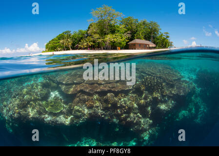 A split-level underwater photo of coral reef at the 'Drop-off' & Sipadan Island, Sabah, Malaysian Borneo Stock Photo