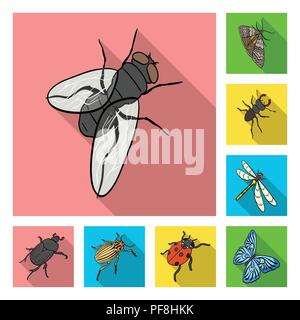 Different kinds of insects flat icons in set collection for design. Insect arthropod vector isometric symbol stock  illustration. Stock Vector