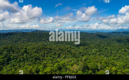 Aerial drone photo of pristine, lush, tropical rainforest at Deramakot Forest Reserve, Sabah, Malaysian Borneo Stock Photo