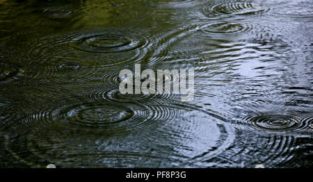 Water dropping making ripples on a lake after rain Stock Photo