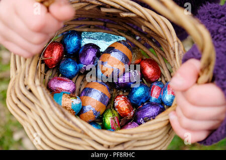 Closeup of chocolate Easter eggs wrapped in colourful foil from various stores in a basket collected by a child on an Easter egg hunt UK  KATHY DEWITT Stock Photo
