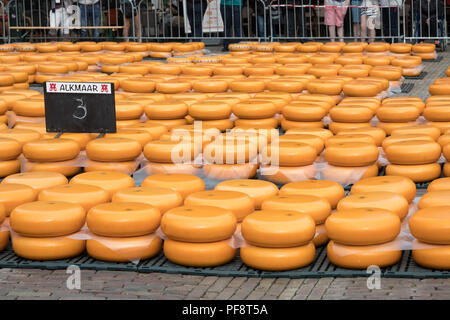 Alkmaar, Netherlands - June 01, 2018: Rows of stacked round yellow cheeses at the cheese market Stock Photo