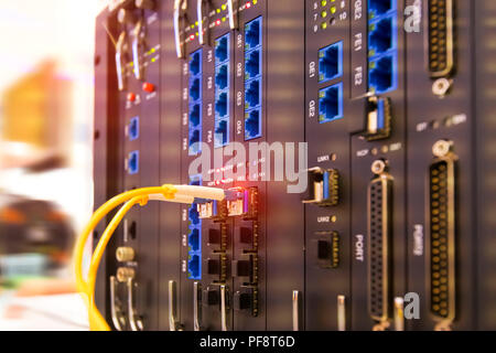 Fiber optic cable connected to card interface of networking switch Stock Photo