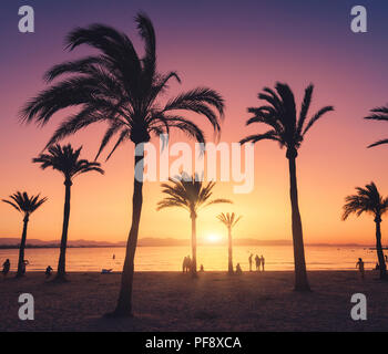 Silhouettes of palm trees against colorful sky at sunset. Tropical landscape with palms on the sandy beach, sea, gold sunlight in the evening in summe Stock Photo