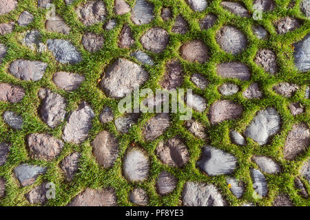 cobble road with grass growing between cobbles Stock Photo