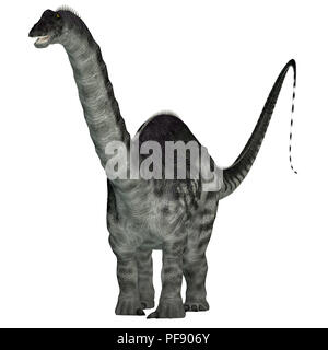 Apatosaurus Dinosaur - Apatosaurus was a herbivorous sauropod dinosaur that lived in North America during the Jurassic Period. Stock Photo