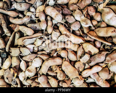 Pile of ripe Tamarind fruits. A big pile of tamarinds use for background or wallpaper. Stock Photo