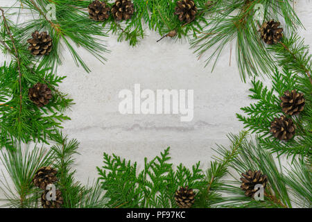 A border of cedar, white pine, and tamarack branches along with scotch pine  cones with copy space in the middle Stock Photo