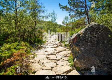 Hiking footpath to the Preikestolen and Lysefjord area, Norway Stock Photo