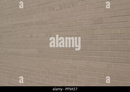 Attractive weathered light grey or beige brick wall background with a Scottish bond brickwork pattern (angle view) Stock Photo