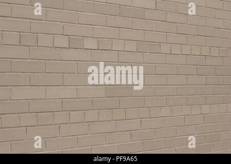 Attractive weathered light grey or beige brick wall background with a Scottish bond brickwork pattern (angle view) Stock Photo