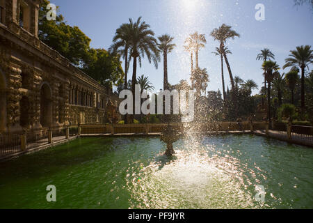 Estanque de Mercurio (Mercury's Pool), the Galeria del Grutesco and the Jardín de las Damas beyond, Real Alcázar Gardens, Sevilla Stock Photo