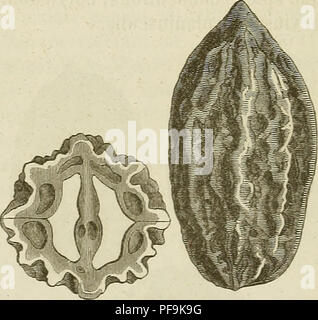 Study detailing the discovery and classification of new vertebrate ...