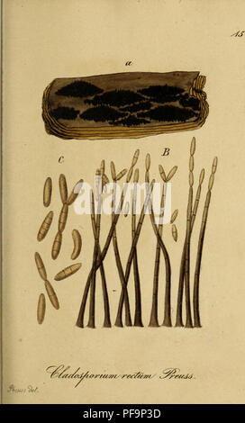 Sturm Jacob Math This botanical collection by Jacob Sturm features illustrations of ...