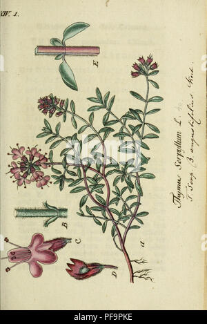 Sturm Jacob Math This botanical work by Jacob Sturm illustrates Germany's native plant ...