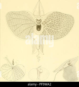This work provides a description of the vertebrate animals featured in ...