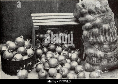 . A descriptive list of vegetable varieties. Nurseries (Horticulture) Catalogs; Vegetables Seeds Catalogs; Flowers Seeds Catalogs. SEED GROWERS 39 ONION In our selecting operations particular attention is paid to ripening down and keeping quality. Our bulbs are subjected to a long storage period to eliminate any occasional poor keeping individuals before planting the mother bulbs in the spring for stock seed. The trials of onion, at our Experimental Gardens near Detroit, are always planted about May 1st. The earlier varieties such as Early Yellow Globe are always fully mature in 110 days or le Stock Photo