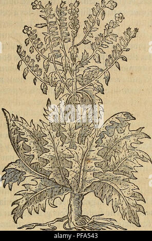 Vendenum A scientific work on venomous animals, describing venomous organs ...