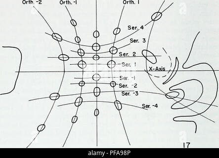 . The developmental anatomy of Isoetes. Isoetes; Botany. Orth. -2 Y-Axis 0-Orth. Orth. 2. Orth. -I Y-Axis Orth. I Orth. -2. Please note that these images are extracted from scanned page images that may have been digitally enhanced for readability - coloration and appearance of these illustrations may not perfectly resemble the original work.. Paolillo, Dominick J. Urbana, University of Illinois Press Stock Photo