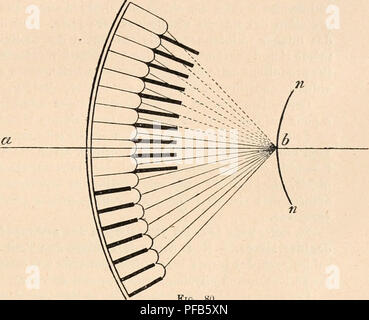 . Dictionnaire de physiologie. Physiology. DIOPTRIQUE OCULAIRE. 1^25 Pour avoir examinÃ© [leurs yeux Ã l'aide d'une ou de deux lumiÃ¨res, comme il est dit plus haut, ExNER cite comme arthropodes Ã images par superposition les suivants, en fait de ColÃ©optÃ¨res, Lampyris, Telephorns, Cantharis, HydropJdlm piceus, Cetonia; puis les papillons nocturnes. Probablement beaucoup de crustacÃ©s ont des images par superposition. Mais Exner n'a pas rÃ©ussi Ã le dÃ©montrer par l'expÃ©rience, parce que les cÃ´nes n'y adhÃ¨rent pas Ã la cornÃ©e, circonstance qui rend cette expÃ©rience difficile (mais non im Stock Photo