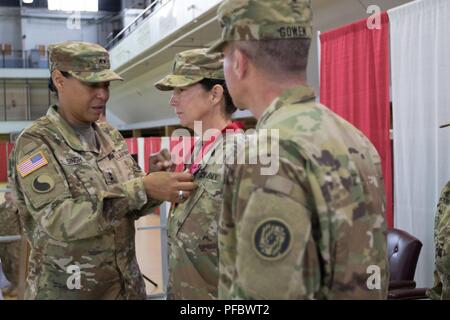 The Maryland Army National Guard hosted the change of command and change of responsibility ceremony at the historic 5th Regiment Armory in Baltimore, Maryland on June 2, 2018. Col. Janeen L. Birckhead assumed command of the Maryland Army National Guard from Brig. Gen. Timothy E. Gowen. Command Sgt. Maj. James M. Nugent assumed responsibility as the senior enlisted leader of the Maryland Army National Guard from Command Sgt. Maj. Kimberly A. Mendez.     Maj. Gen. Linda L. Singh, 29th Adjutant General of the Maryland National Guard, presided over the ceremony. In attendance were units from Joint Stock Photo