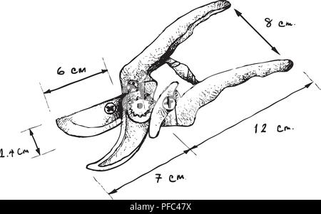 Illustration Hand Drawn Sketch Dimension of Pruning Shears, Hand Pruners or Secateurs. A Garden Tool Used to Used to Cut, Remove and Trim Branches of  Stock Vector
