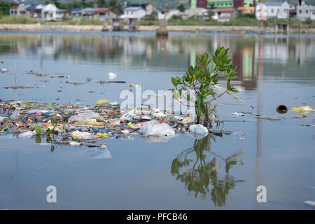 Cebu City,Philippines. 21st August 2018.A small Mangrove tree with plastic entwined within its branches, surrounded by discarded rubbish habitually thrown into a creek which empties into the sea,Cebu City.Credit: Globalimages101/Alamy Live News Stock Photo