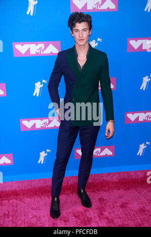 New York, NY, USA. 20th Aug, 2018. Shawn Mendes arriving at the 2018 MTV Video Music Awards at Radio City Music Hall in New York City on August 20, 2018. Credit: Diego Corredor/Media Punch/Alamy Live News Stock Photo