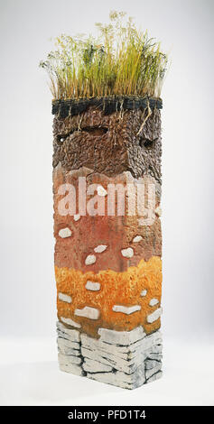 Cross-section model of soil, including humus, topsoil, subsoil, bedrock Stock Photo
