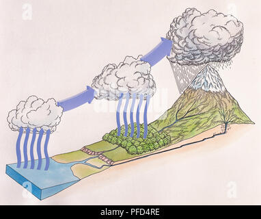 Draw a water cycle .Write the change in states of matterfor the processes  Evaporation , Transpiration - Brainly.in