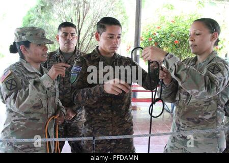 Sgt. 1st. Class Carolina D. Compton (left) and 1st. Lt. Katrina F. Simpson (far right), New Hampshire Army National Guard, instruct Gerber Alexander Mendez Ramirez, an El Salvadoran humanitarian response soldier, on knot tying while Col. Domingo Monterrosa, Salvadoran Army, looks on in San Juan Opico, El Salvador, June 5. Compton and Simpson were members of a small team of NHARNG soldiers visiting in support of NH's relationship with San Salvador in the State Partnership Program. The training focused on an exchange of ideas and best practices for rescue techniques, command and control operatio Stock Photo