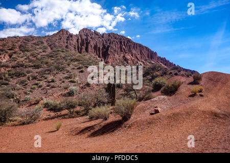 Cacti and dramatic rock formations in the Quebrada Palmira and Canyon del Inca, near Tupiza, Bolivia Stock Photo